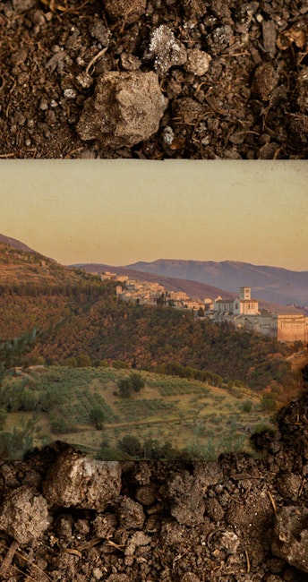 Bosco di San Francesco ad Assisi, Perugia