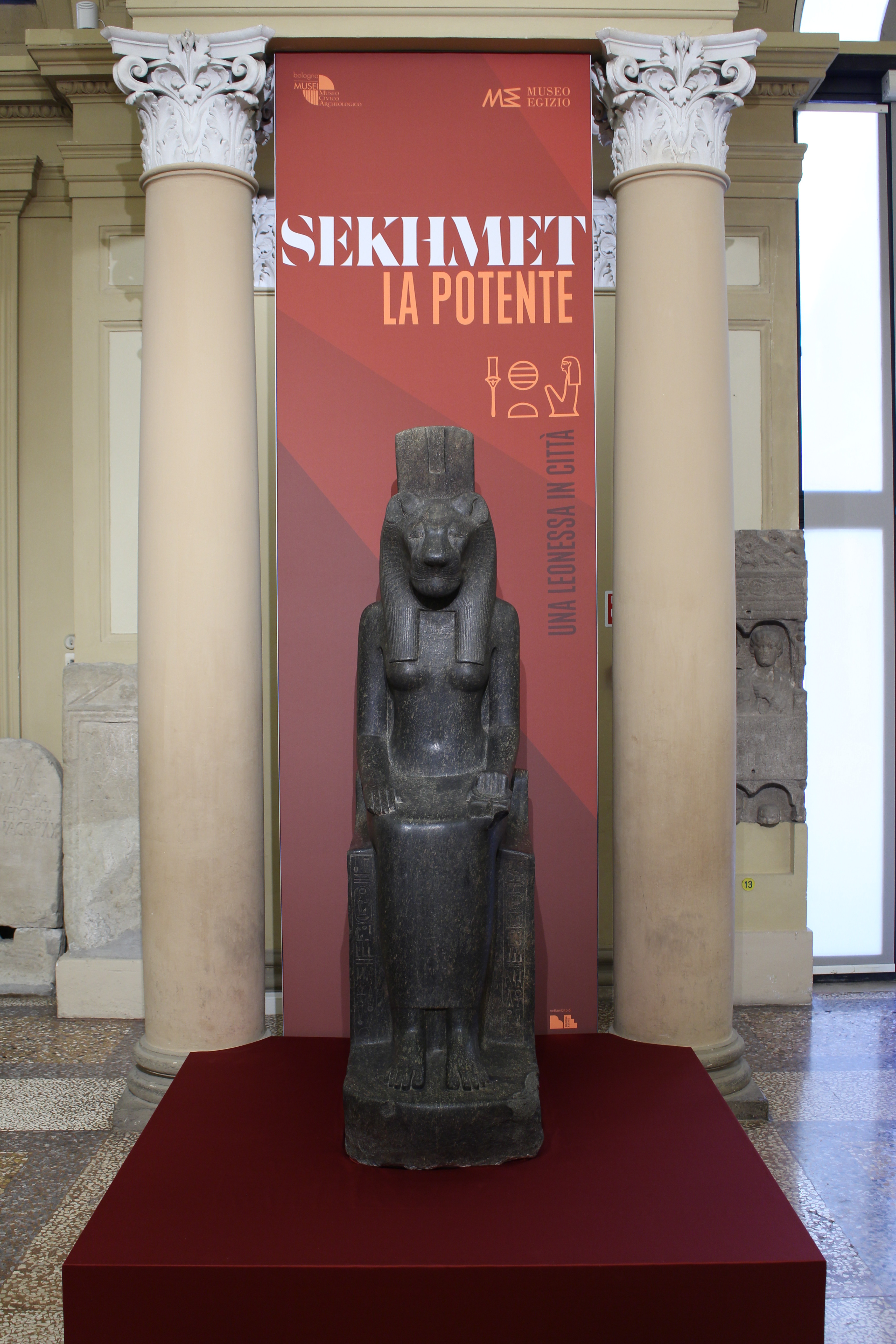 Sekhmet, la Potente. Una leonessa in città.  Istituzione Bologna Musei | Museo Civico Archeologico