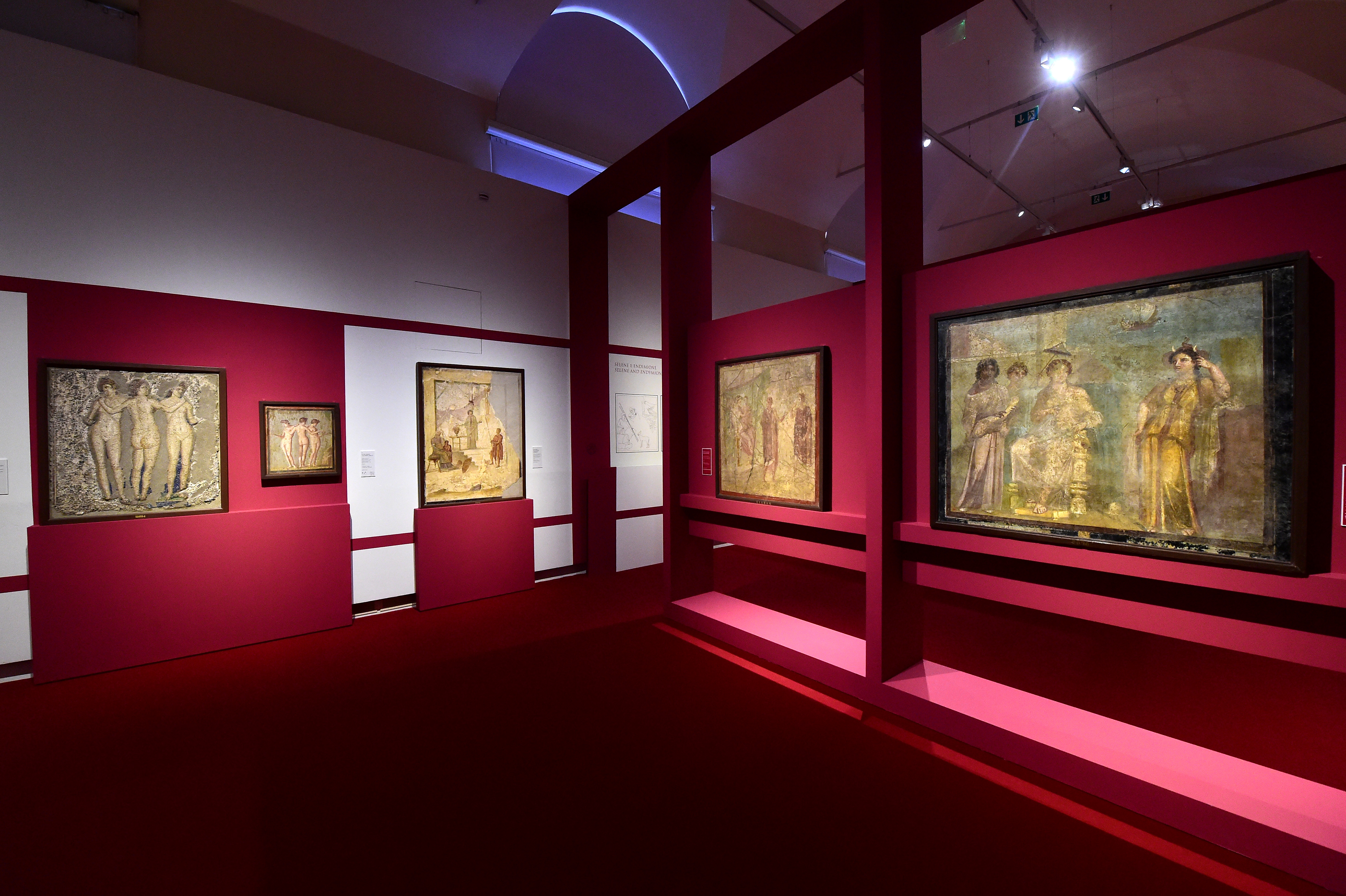 Settore Musei Civici Bologna: Natale al Museo...continuano le grandi mostre nella città di Bologna