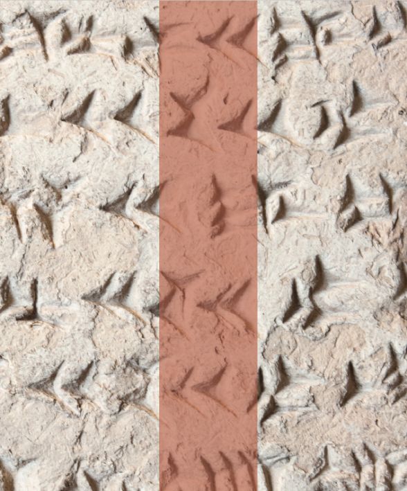 Gli Assiri all'ombra delle Due Torri Un mattone iscritto della ziggurat di Kalkhu in Iraq e gli scavi della Missione Archeologica Iracheno-Italiana a Ninive.  a cura di Nicolò Marchetti    