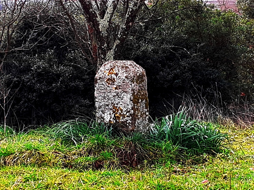 Ricognizioni archeologiche lungo il Fosso Acqualta (Norchia)