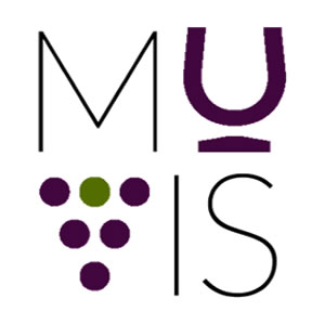 Muvis