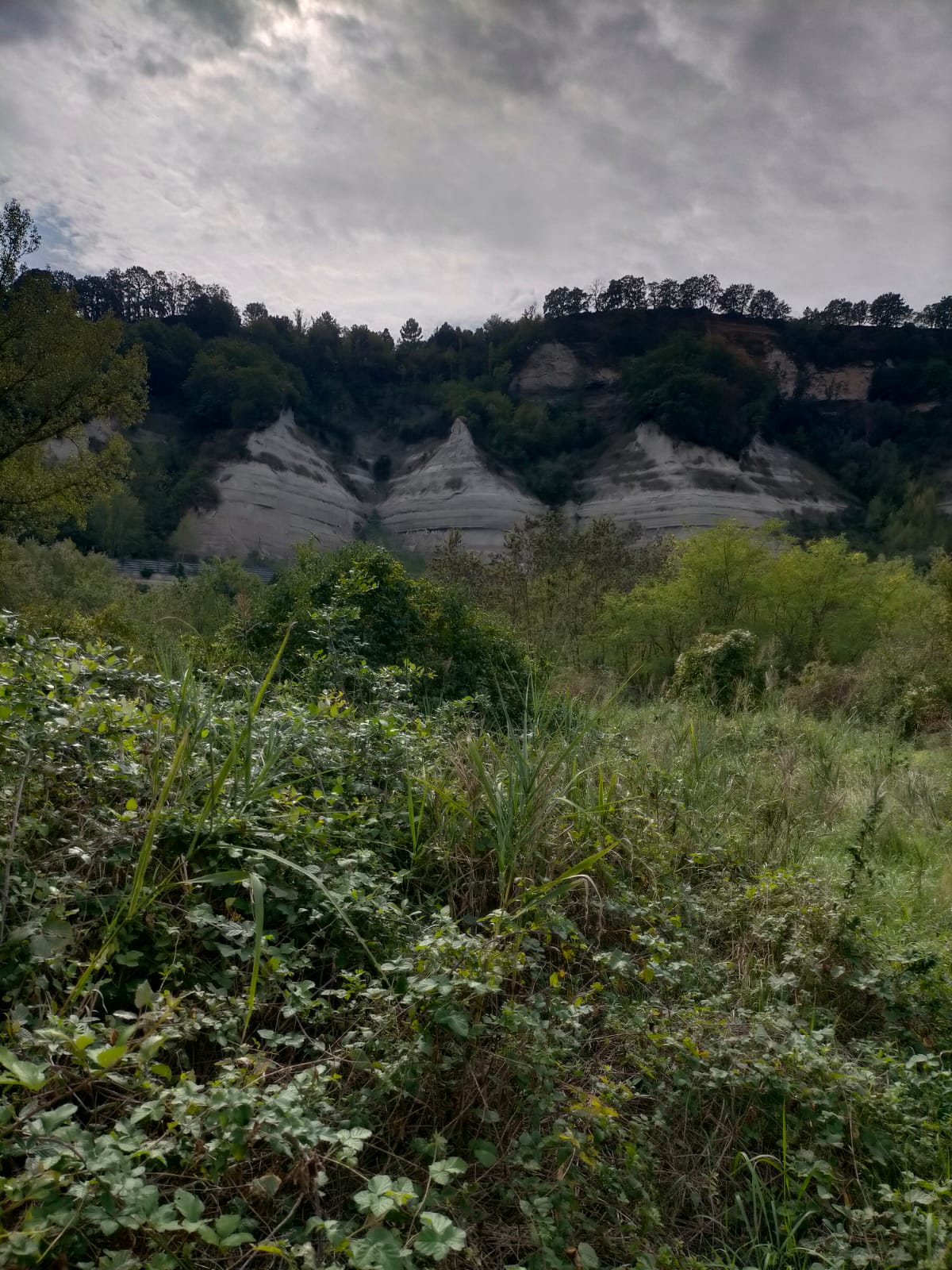 “Pagliano: nuovi progetti di ricerca e valorizzazione di un sito archeologico alla confluenza tra Tevere e Paglia”